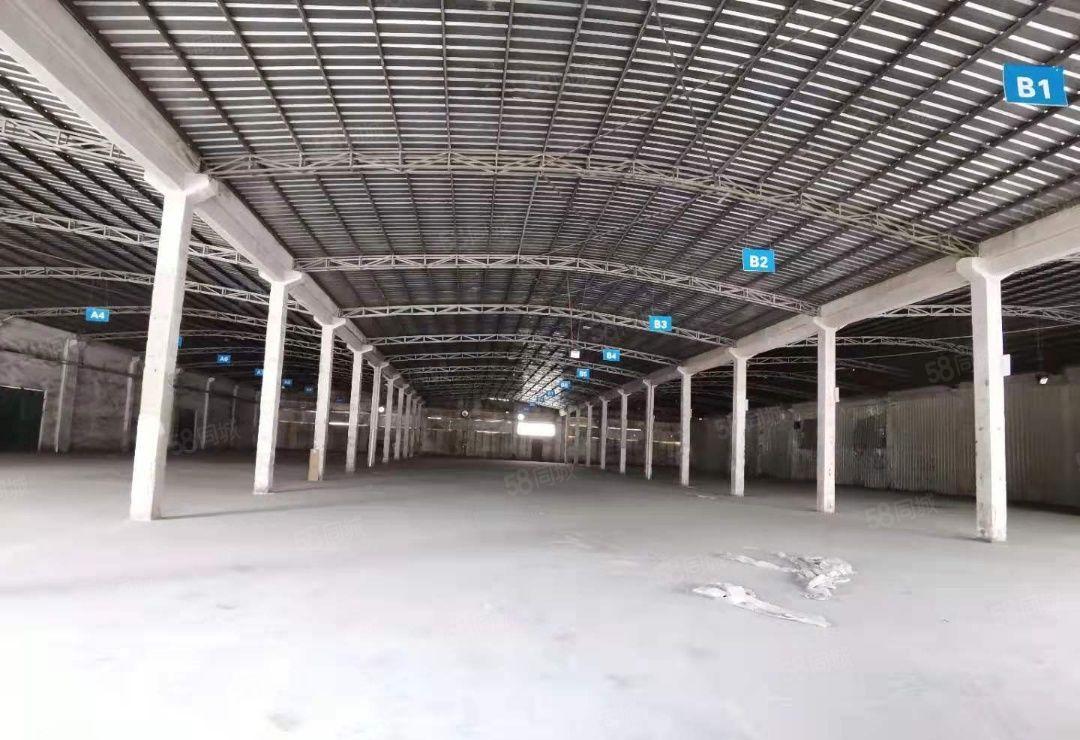 三栋惠南大型工业园内一楼钢结构出租可分租