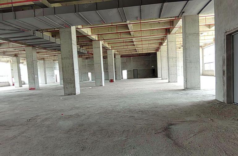 三栋镇42000平方全新标准厂房红本双证可分租