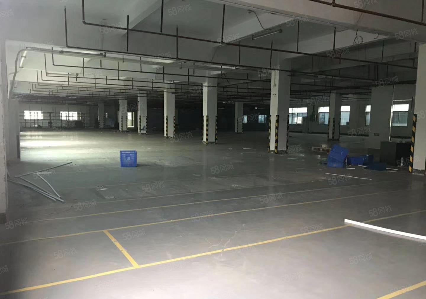 水口独栋厂房出租22580平方，高新企业之地