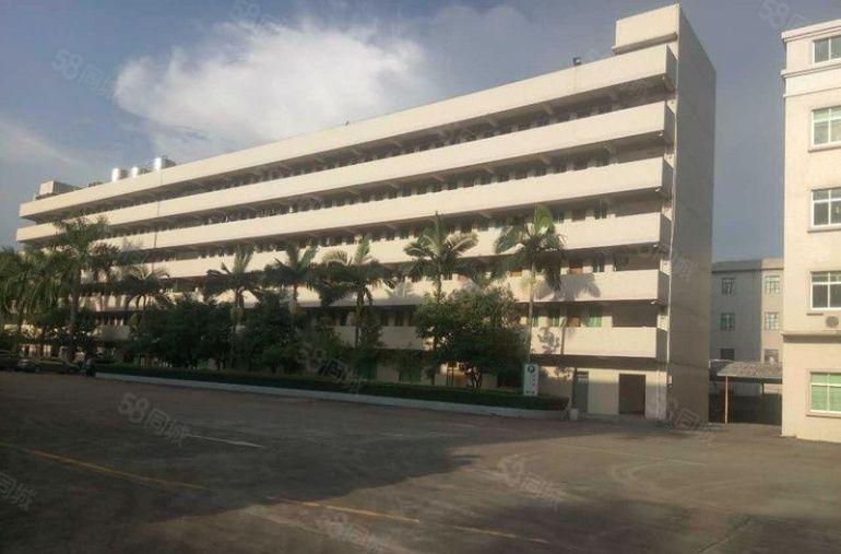 靓水口新出独院厂房1.1万平米招租