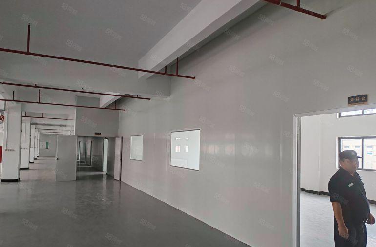 惠城区水口精装修厂房出租 隔断办公室 全新地坪漆 拎包办公