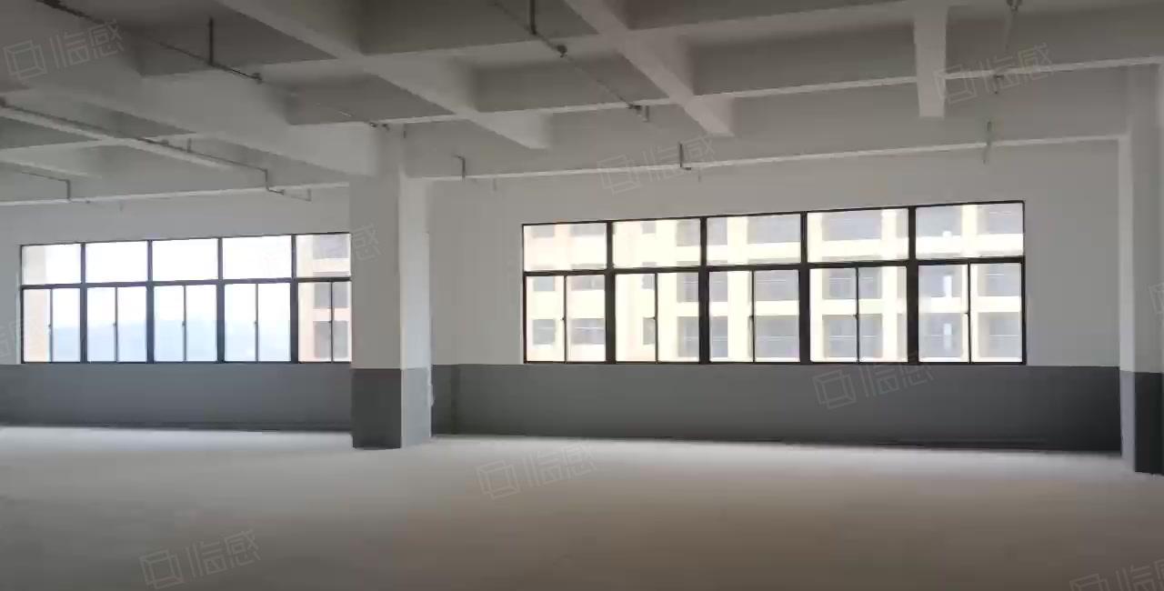 水口东江工业区全新工业厂房1500平方  10元出租