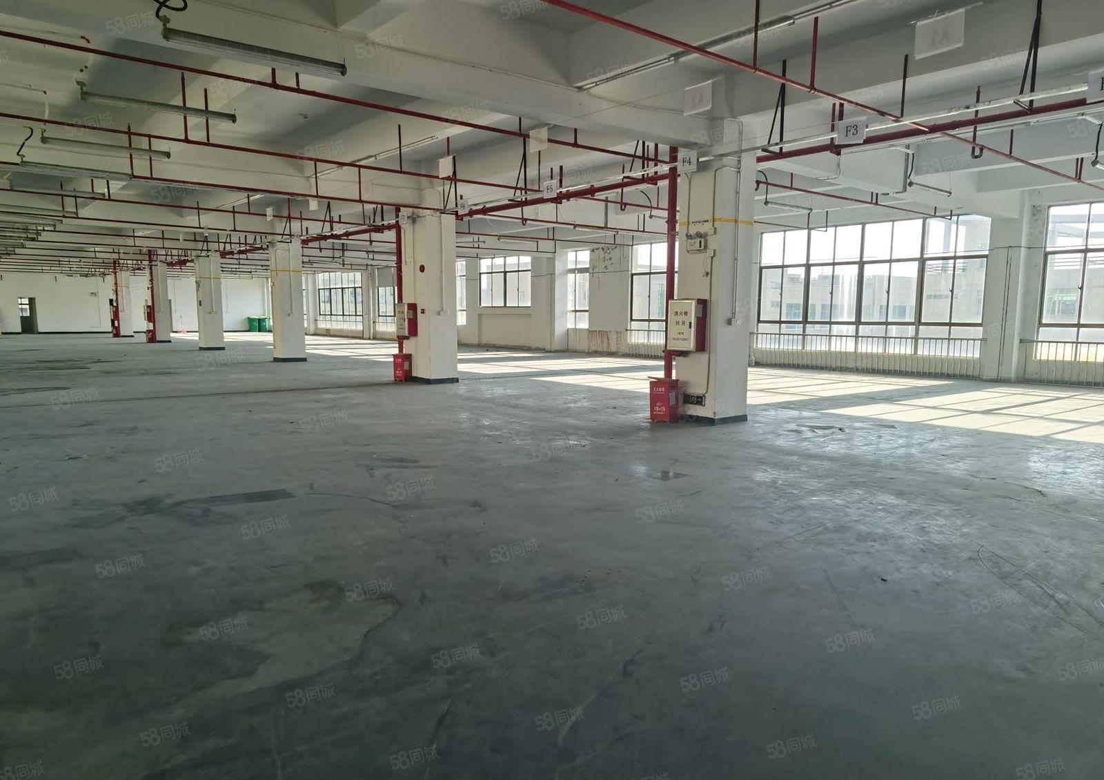 马安新乐1450平厂房，好招工，证件齐全，租金实惠