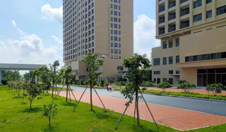 靓惠州水口38万平方花园式红本厂房