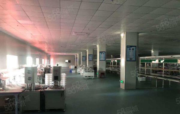 惠城区小金口原房东独门独院5000平厂房出租