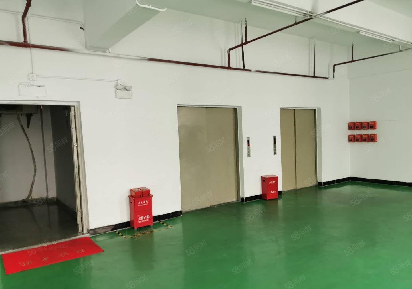 马安红本厂房出租，一二楼5200平方，可以分租，电400千瓦