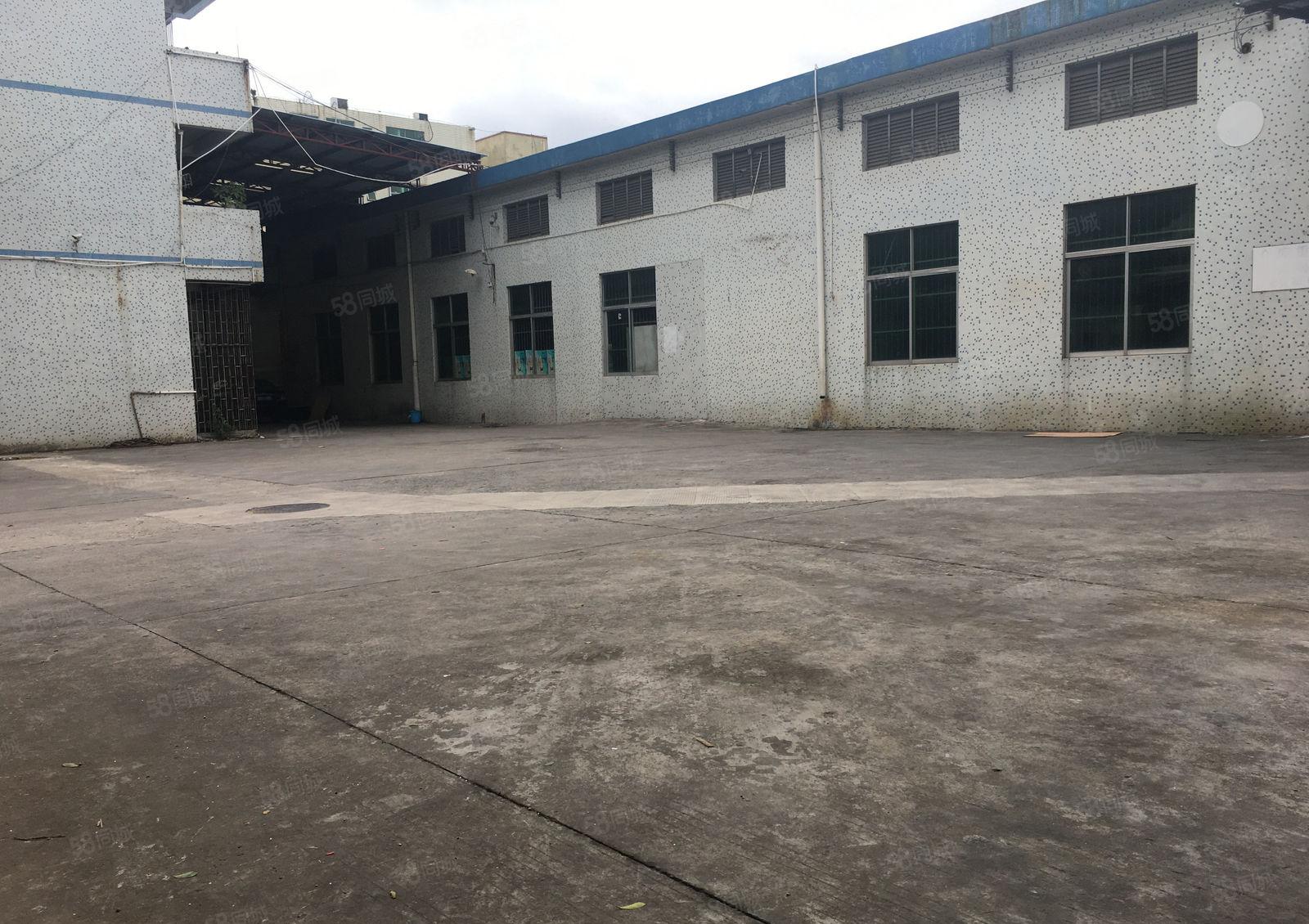 惠城水口中心工业区独院3900平原房东钢构仓库厂房出租可分租