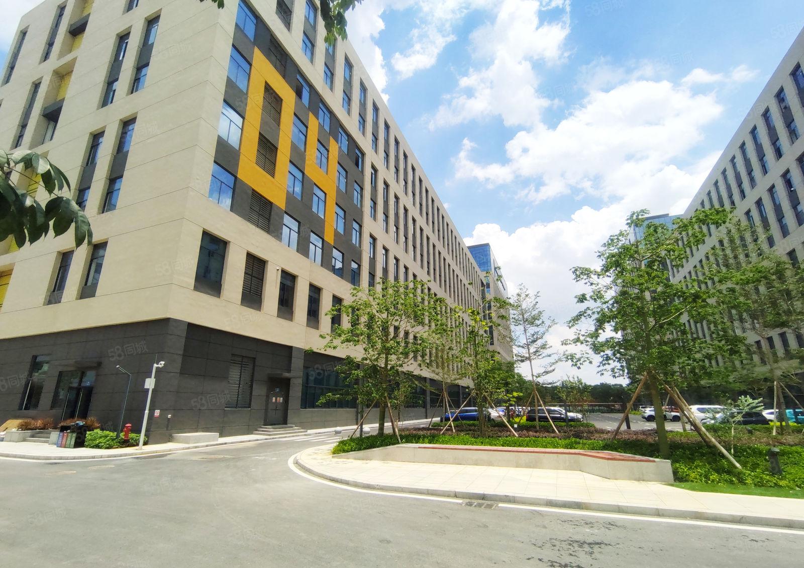 6元200平起租小金口四角楼原房东红本2万平厂房一楼仓库出租