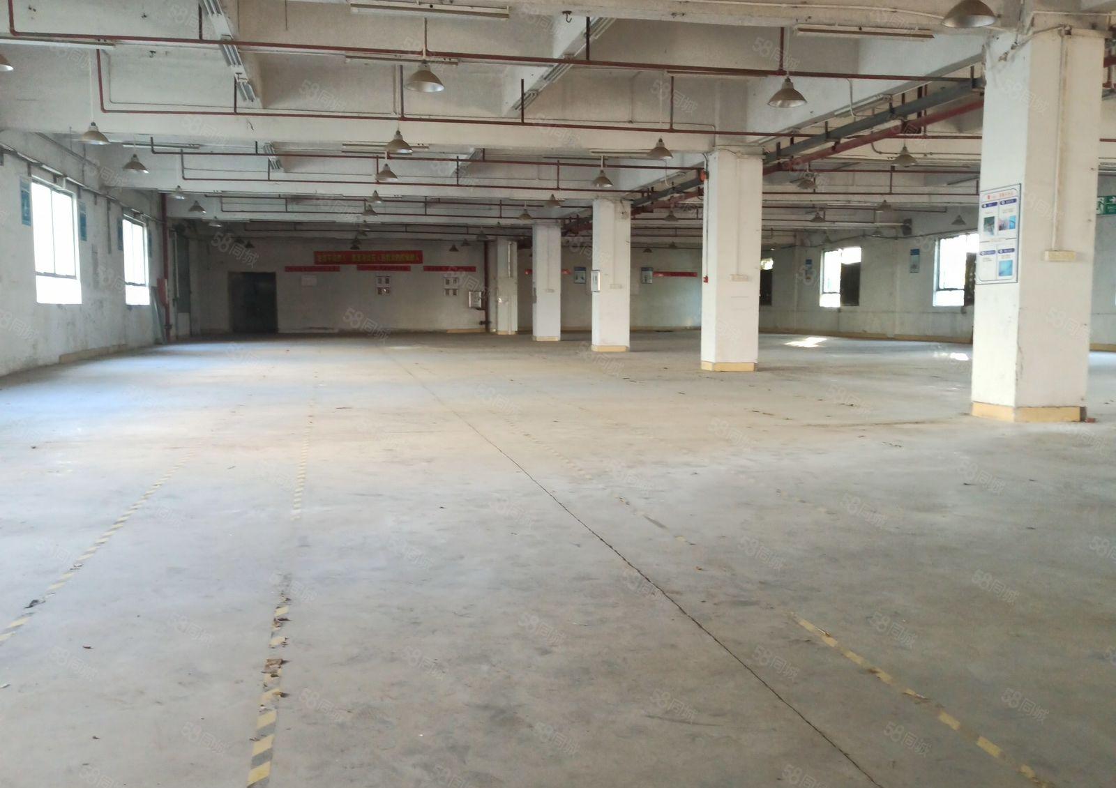 马安新乐工业区独院厂房出租1~3层带电梯