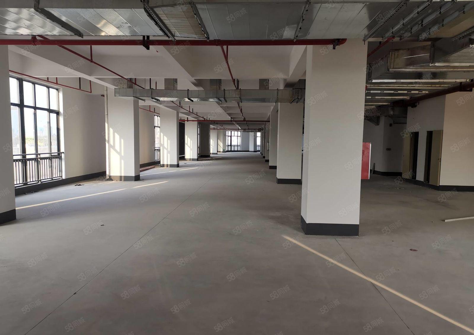 惠城区 三栋工业园全新标准厂房出租 1600平方 交通方便