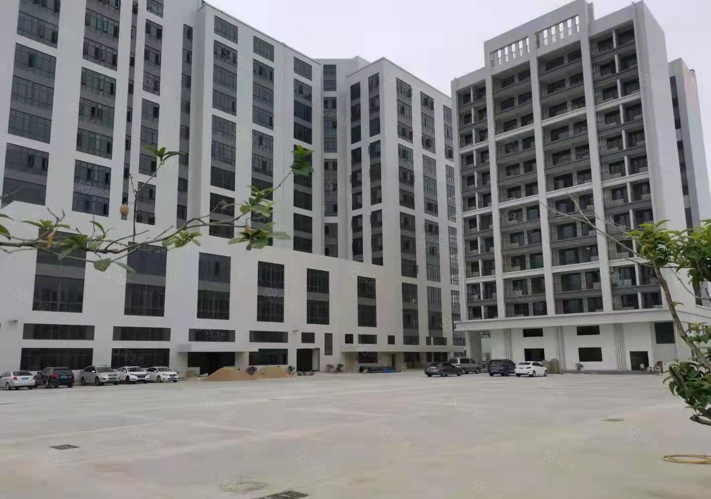 马安产业园 新空出780平全新装修厂房  形象佳