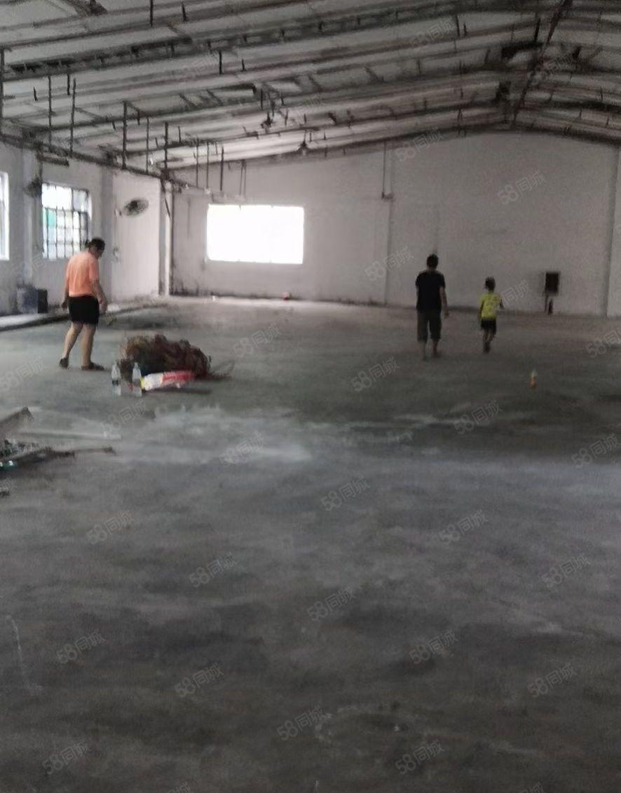 水口东江工业区钢构厂房1300平 配套办公300平 招工方便