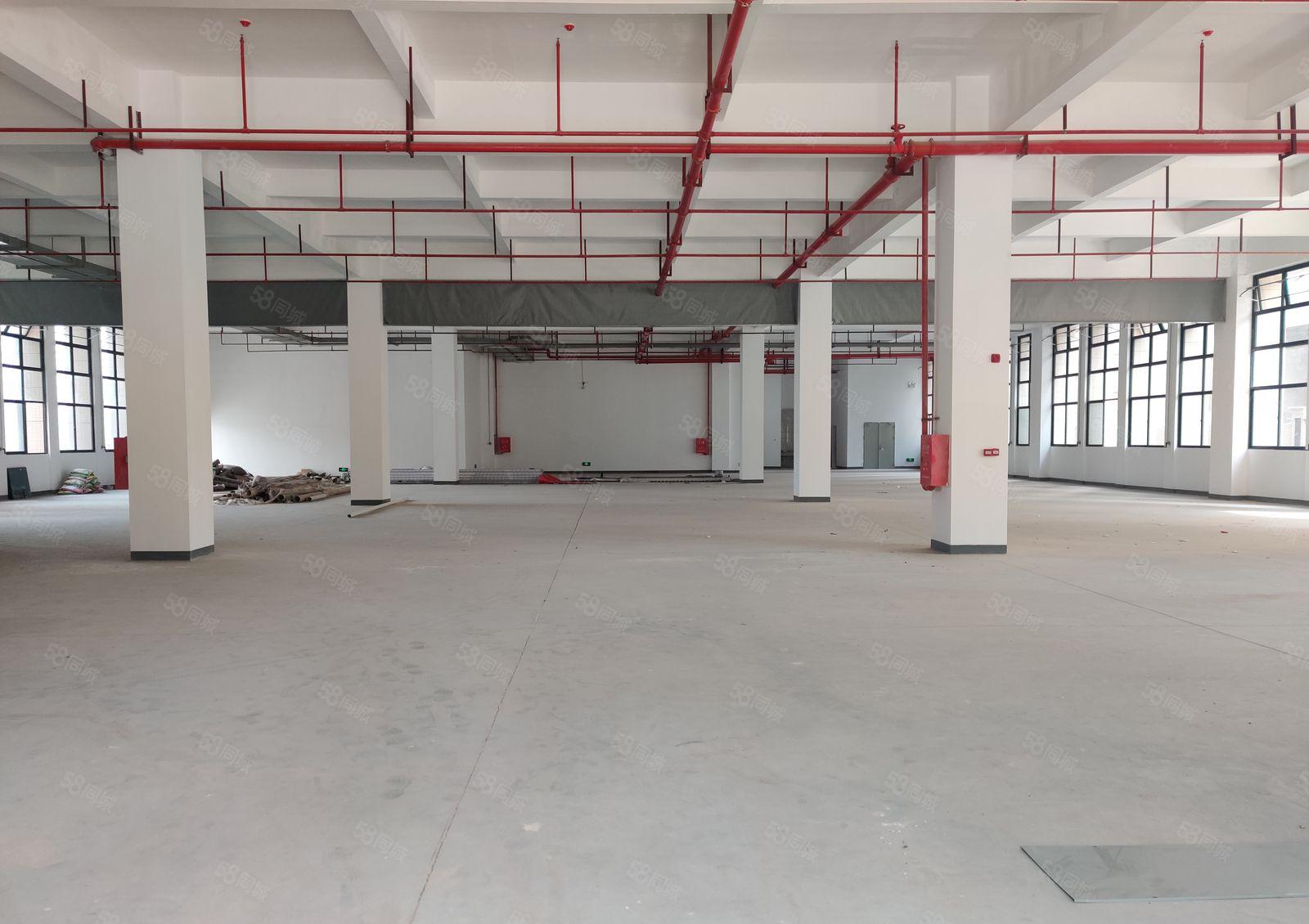 年终清盘丨8元起原房东可分租小金口1万平厂房仓库一楼钢构出租