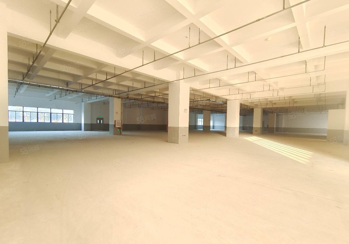 水口镇东江千亿产业园新空出一楼2700平方全新红本厂房出租