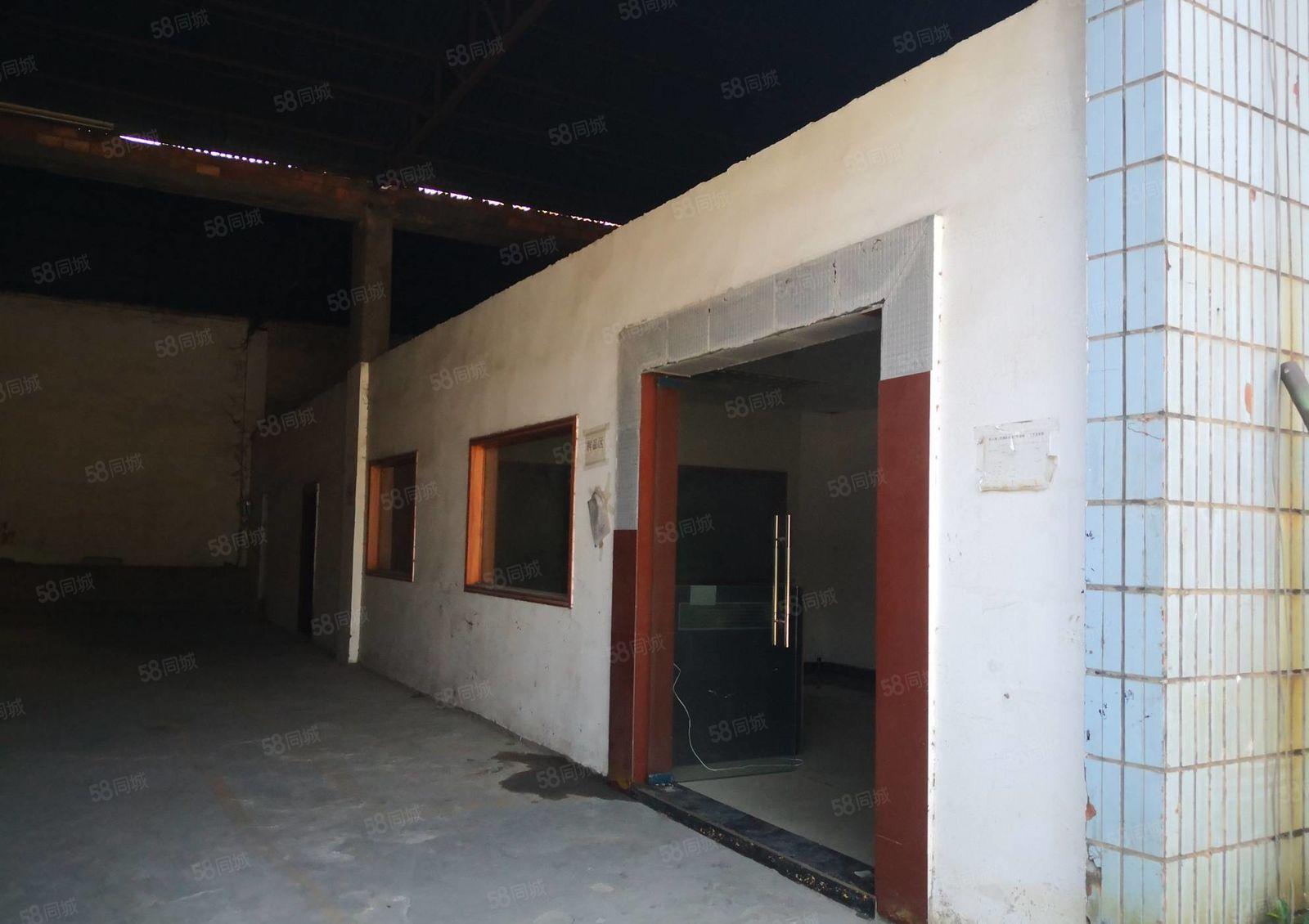 惠城区小金原房东单层钢构厂房2000平方出租