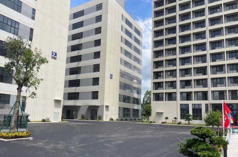 小金口金龙大道5000原房东全新红本厂房1000起分租