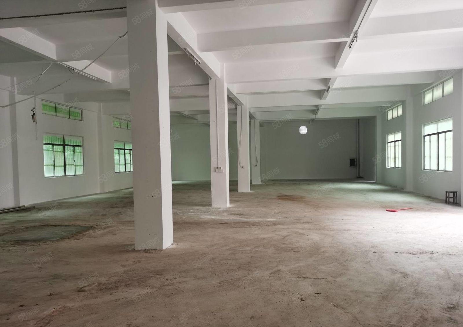 马安新湖工业区一楼650平方厂房仓库招租