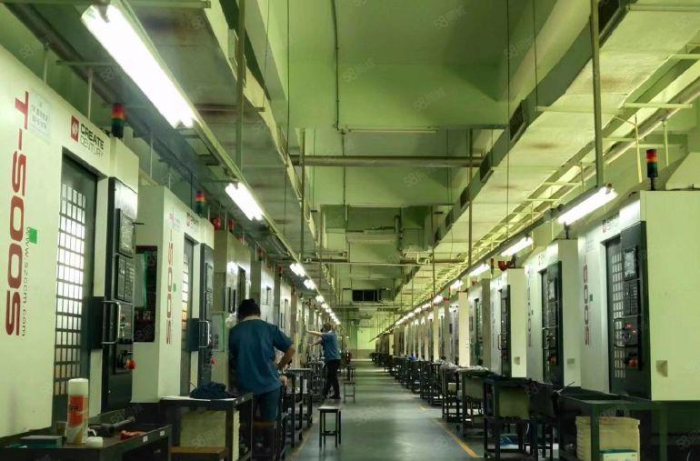 惠城区江北独门独院厂房出租