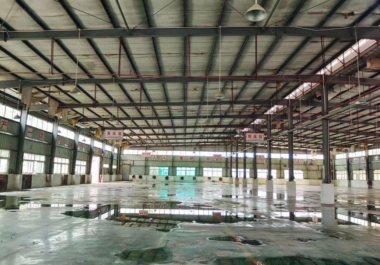 水口东江大道边单层钢构500平方起租独院厂房