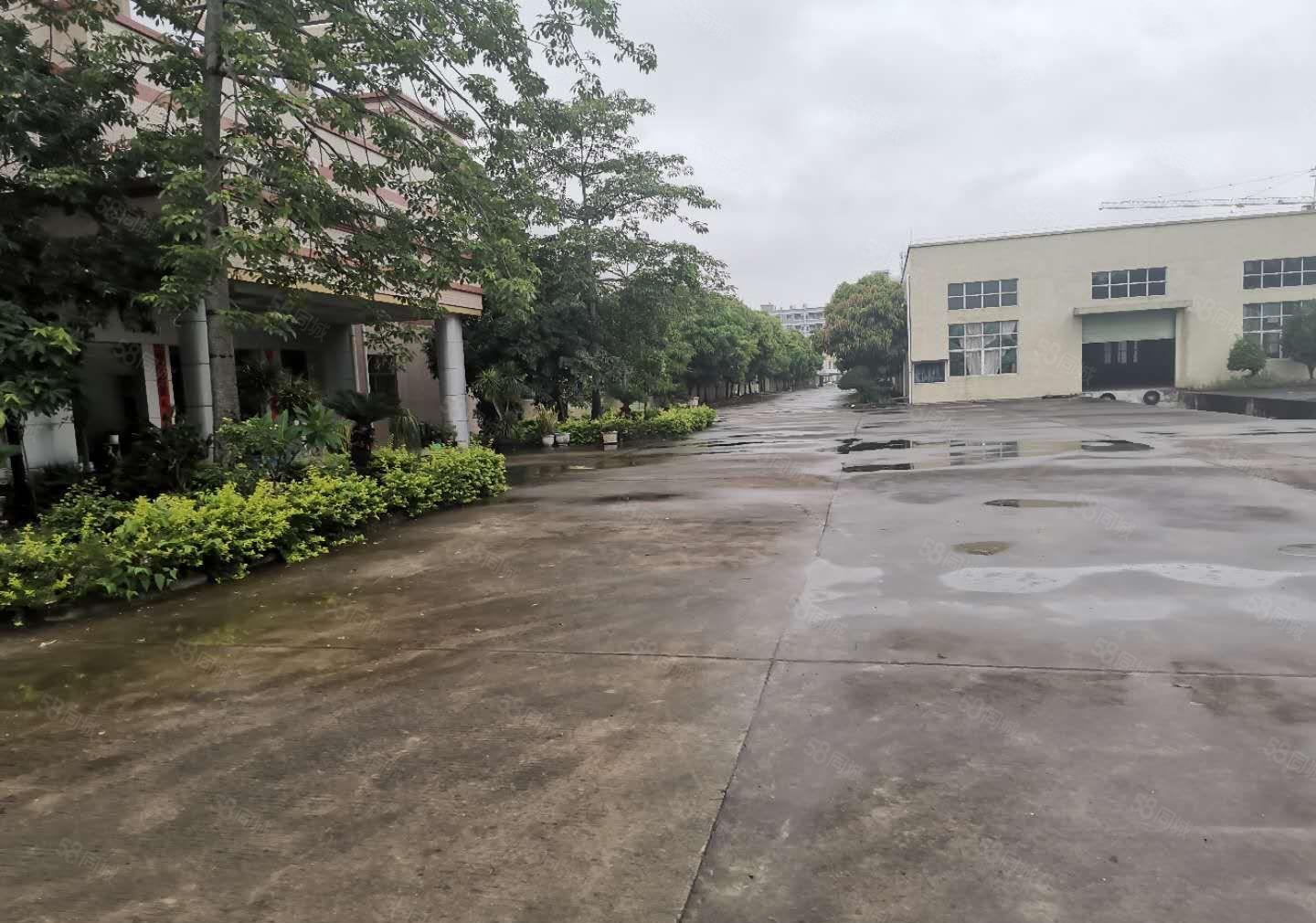 水口红本钢构8000平方，可分租4百，8百平方