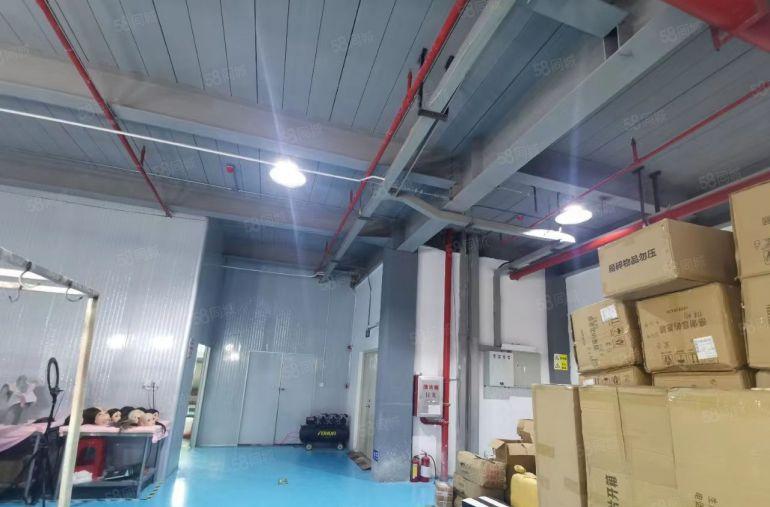 10元！三栋数码园楼上800平精装修厂房仓库低价出租大小分租