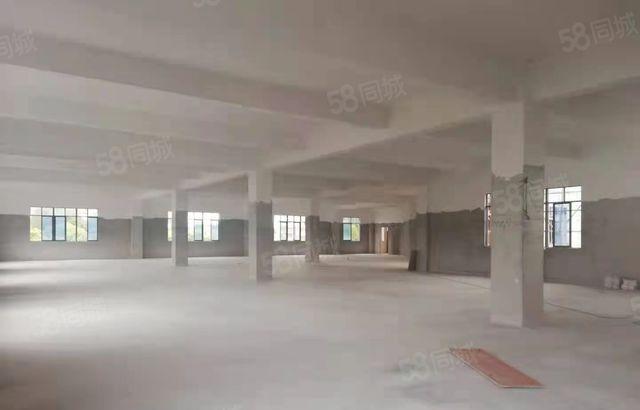 惠城区水口新出全新独院标准厂房出租