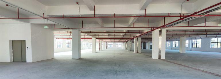 水口标准红本厂房9.9元全包！各种面积均有