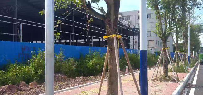 惠州惠城区中心适合做汽车美容，4s 店。体育的一楼钢结构厂房