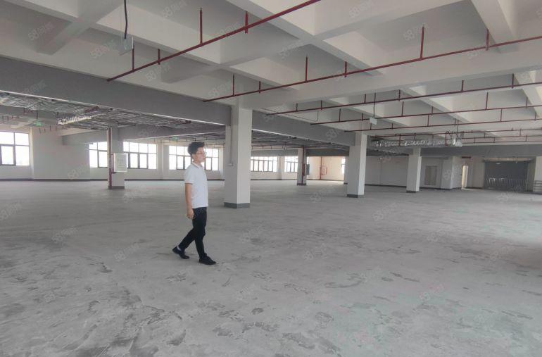 水口大道附近原房东厂房出租单层1512平米实际面积出租