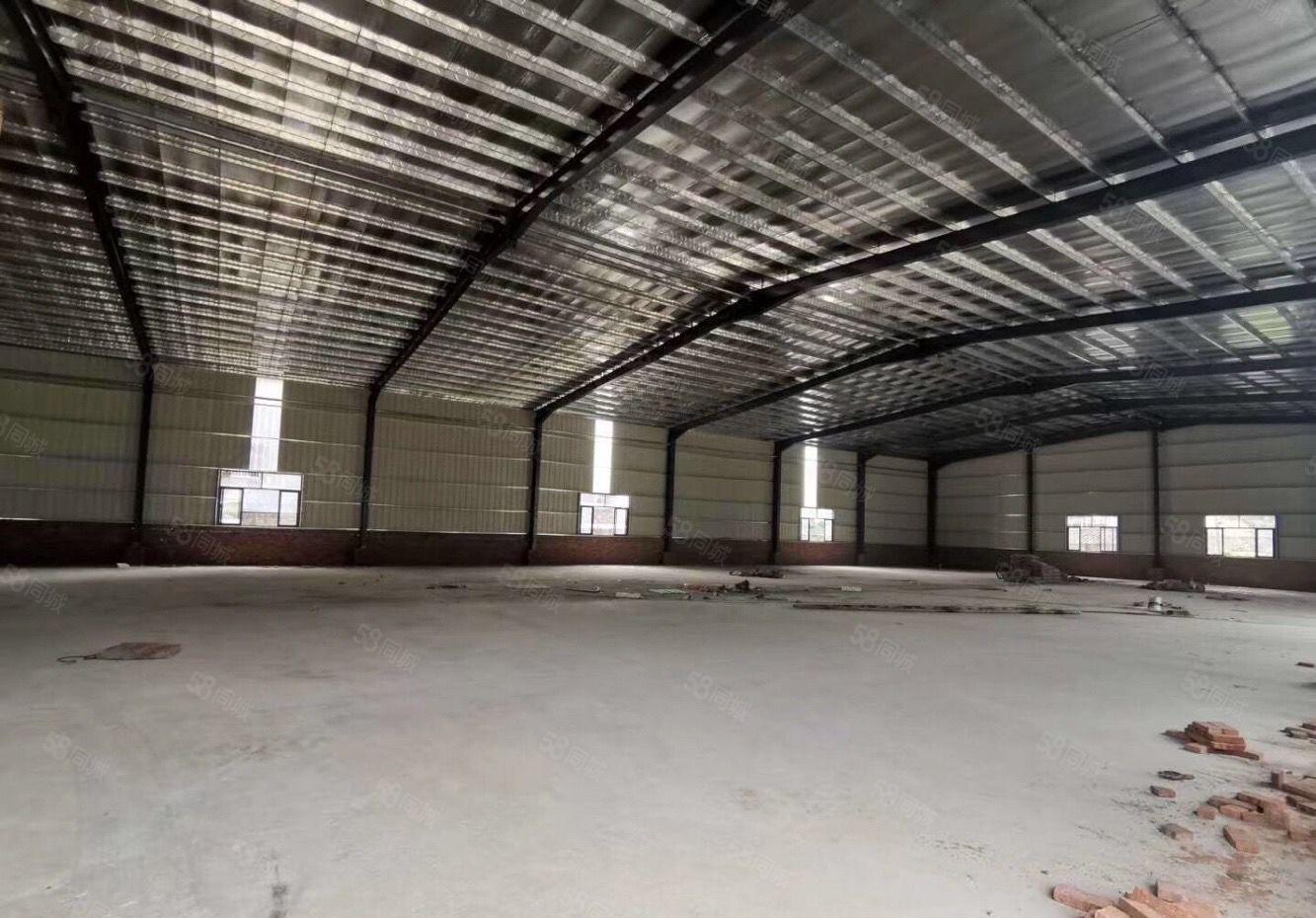 三栋国土所12块钱单层精典独院钢构厂房招租