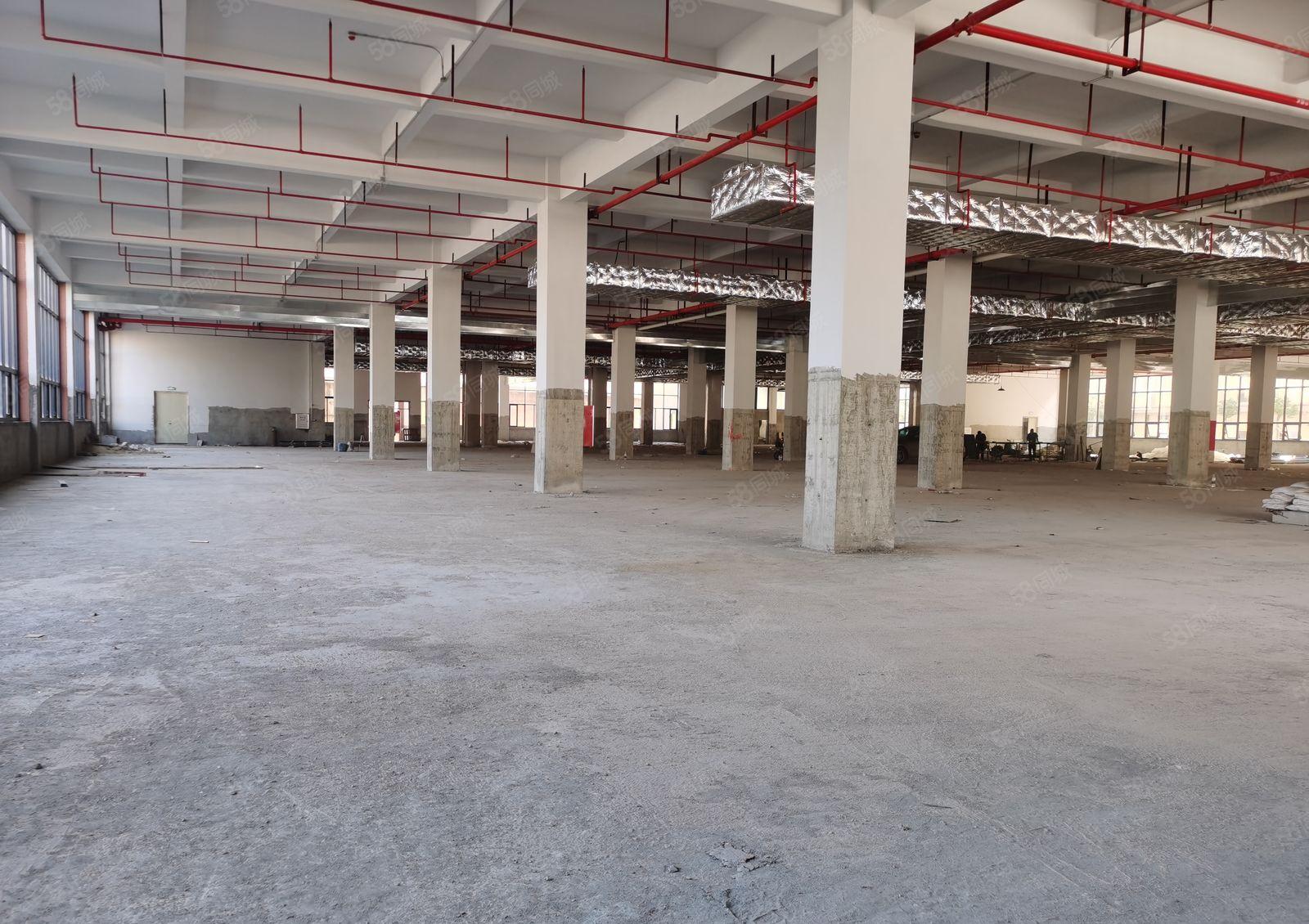 水口东江高新区原业主30000平出租