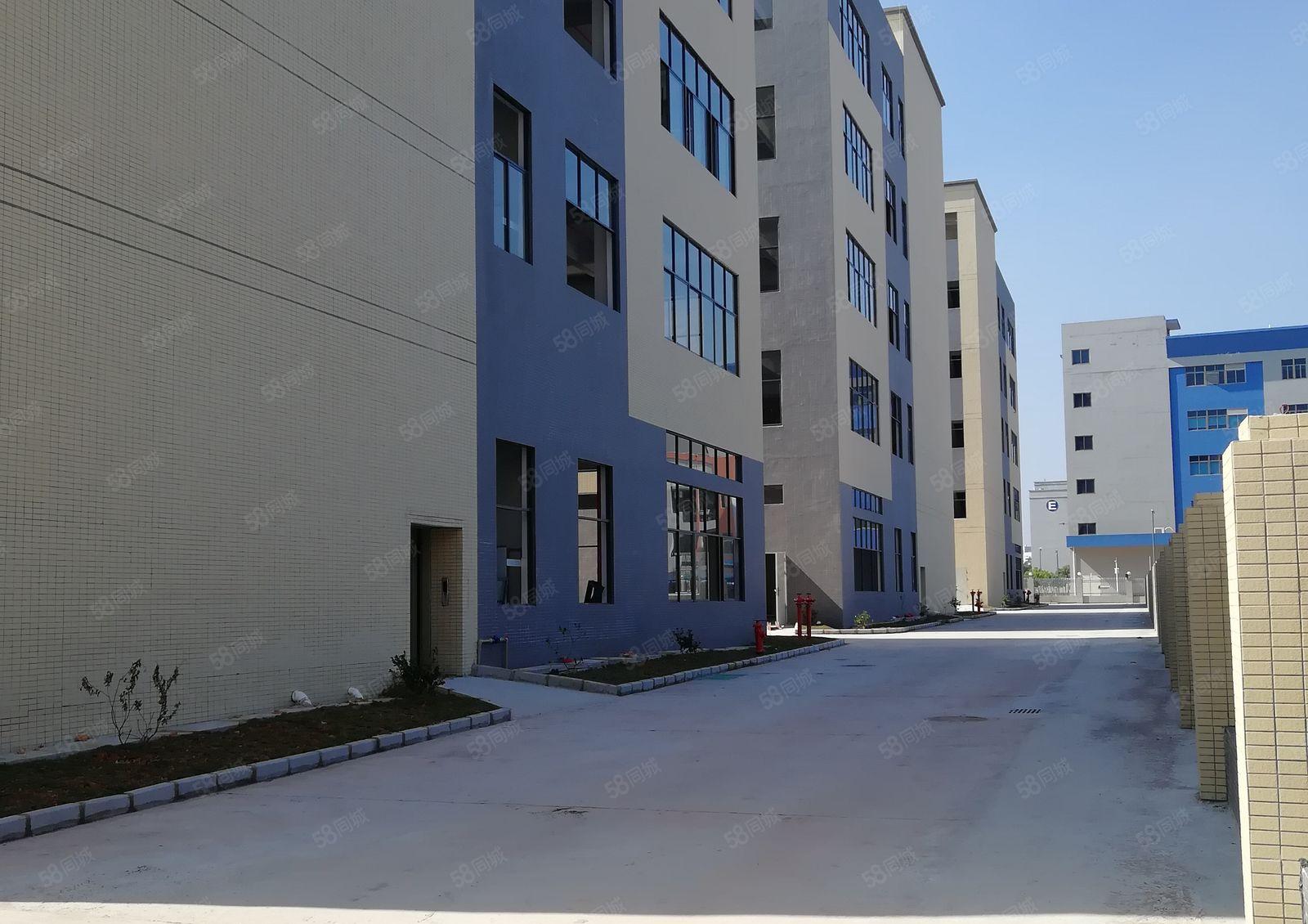 水口仲恺高新区全新厂房火热招租中1000平方起租