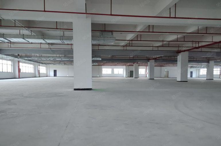 惠州泰美一楼1600平方6米高证齐工业园