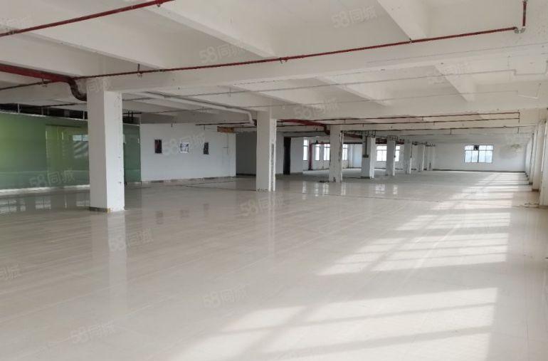 招财.水池独门独院厂房出租惠城水口大道