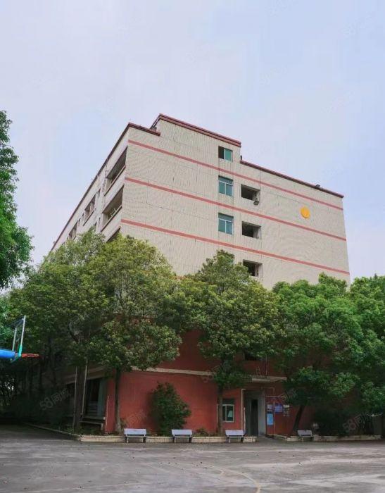 水口镇楼上带装修厂房出租单层7600平方米大小可分租