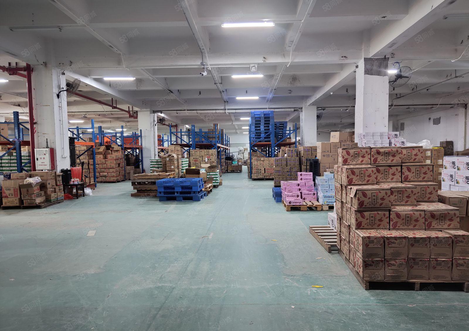 水口 华阳科技产业园4600平钢构 滴水11米