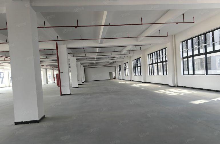 小金口食品环评全新4层7800平独门独院厂房出租。可分租