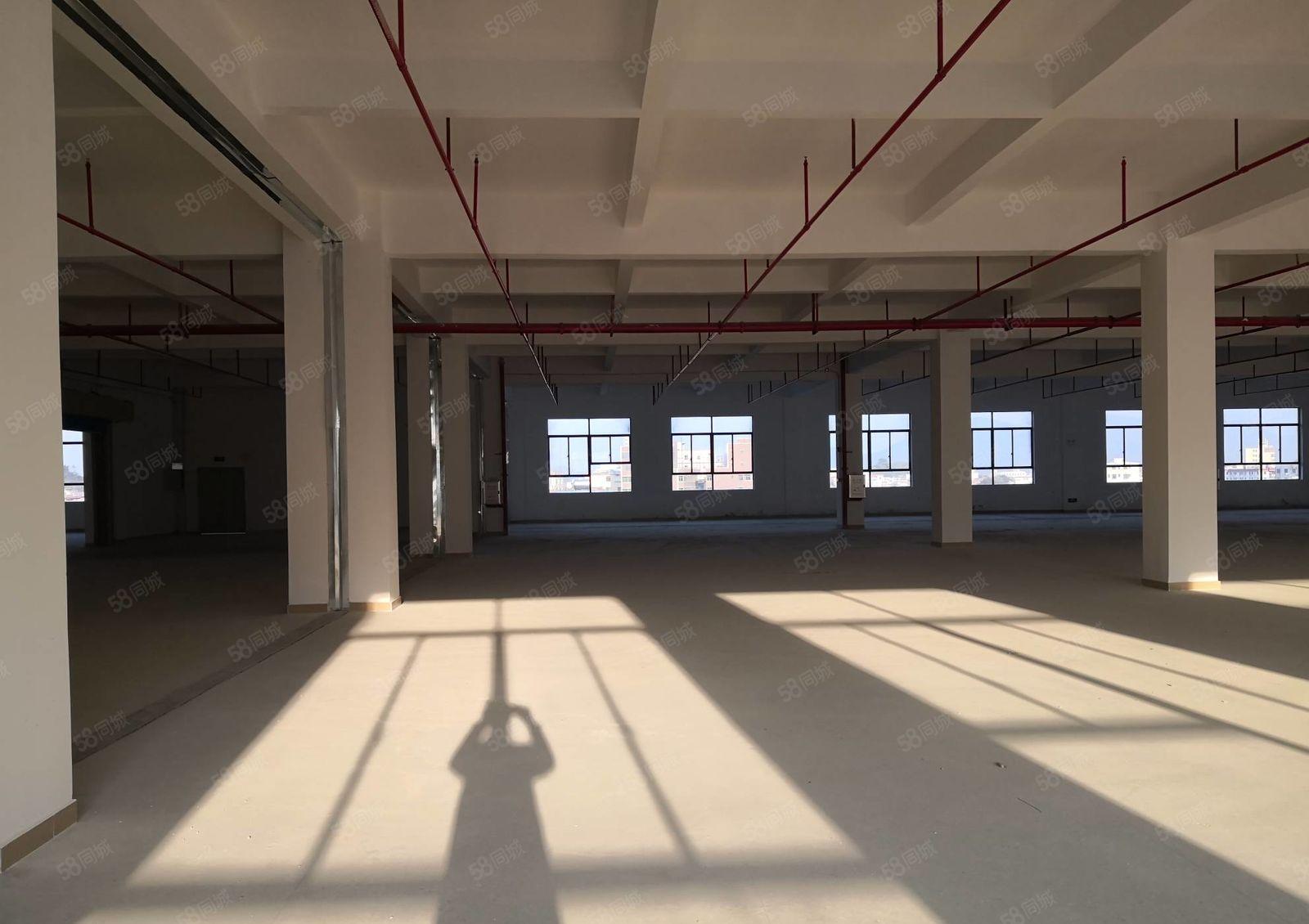 惠城区小金口附近工业区空出原房东2350平方标准无尘车间出租