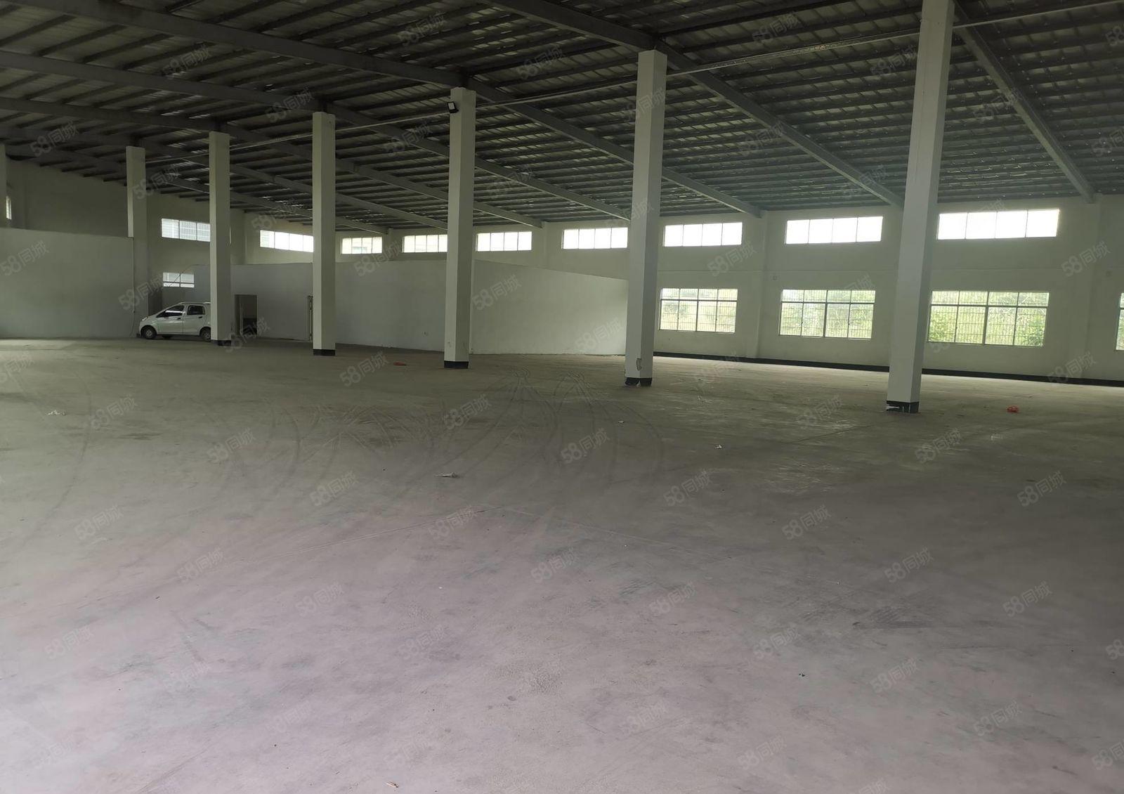 惠城区三栋数码工业区全新钢构厂房出租2300平方 高度9米