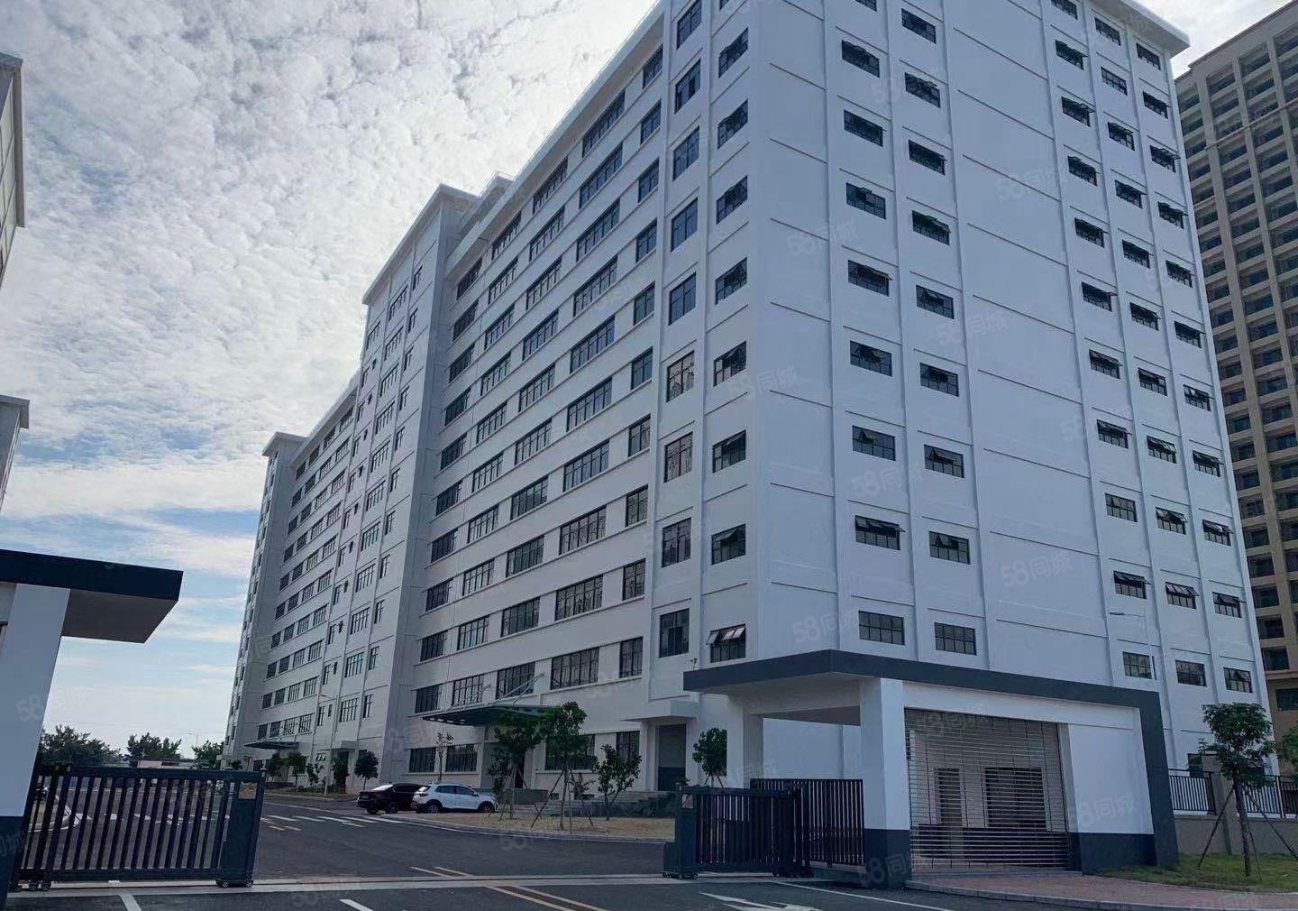 水口工业区全新红本厂房6500平 面积可分租 租金10元起