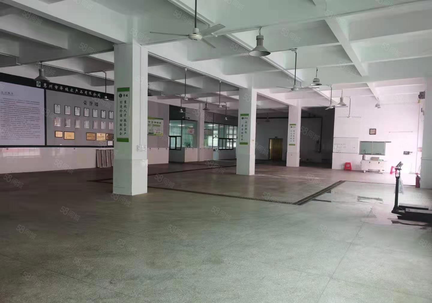 水口大湖溪新空出一楼600平方标准厂房出租 租金18