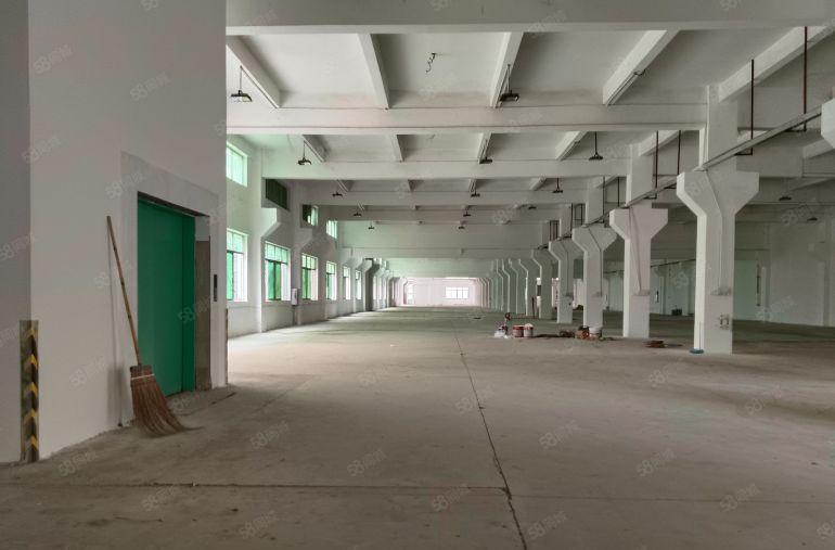 惠城区小金口原房东独院厂房出租6800方，1000起租