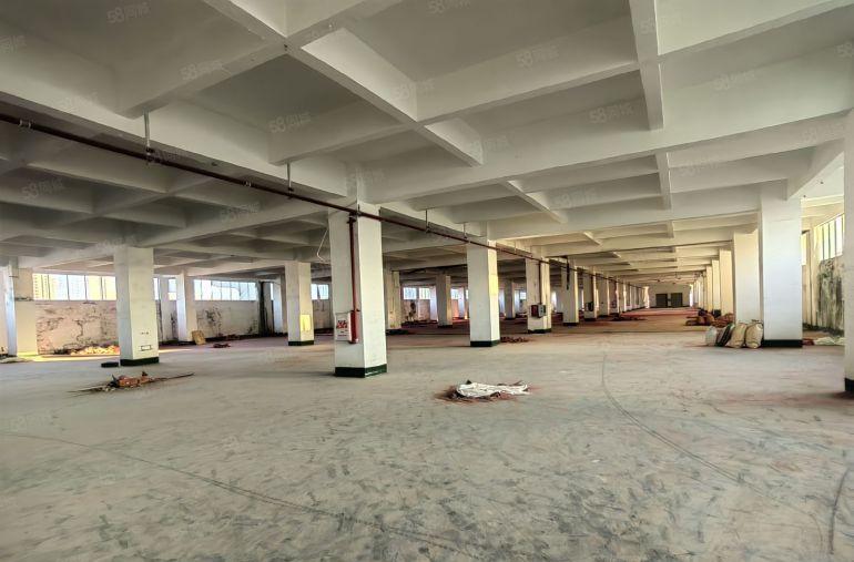 惠州厂房出租三栋厂房房东直租6800平电商仓库出租可分租厂房