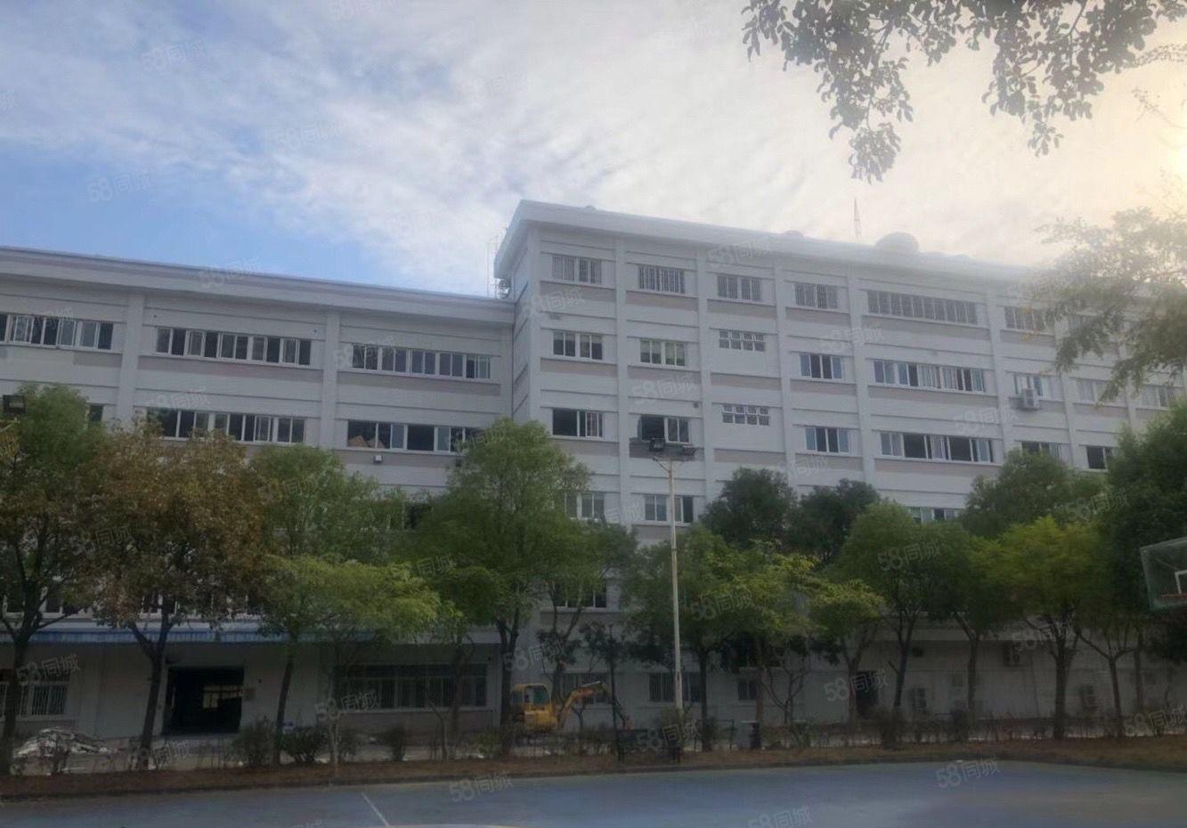 水口荔枝城工业区870平方标准厂房，租金10元证件齐全