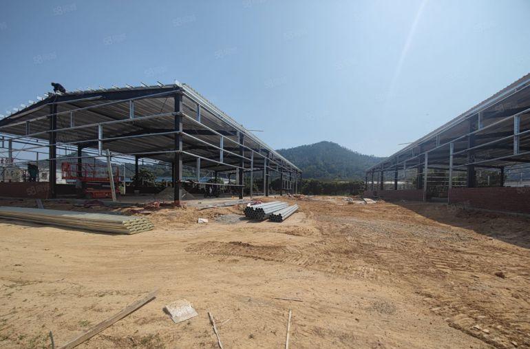 真实推荐独院4000平无公摊~单栋2000平证件齐空地大