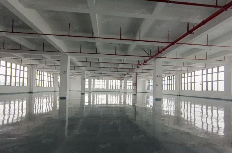 10元马安原房东500方1000方1500方红本标准厂房招租