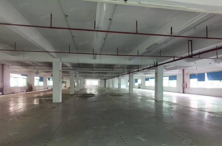 马安新乐一二楼厂房2700平米出租 原房东直租 可以分租