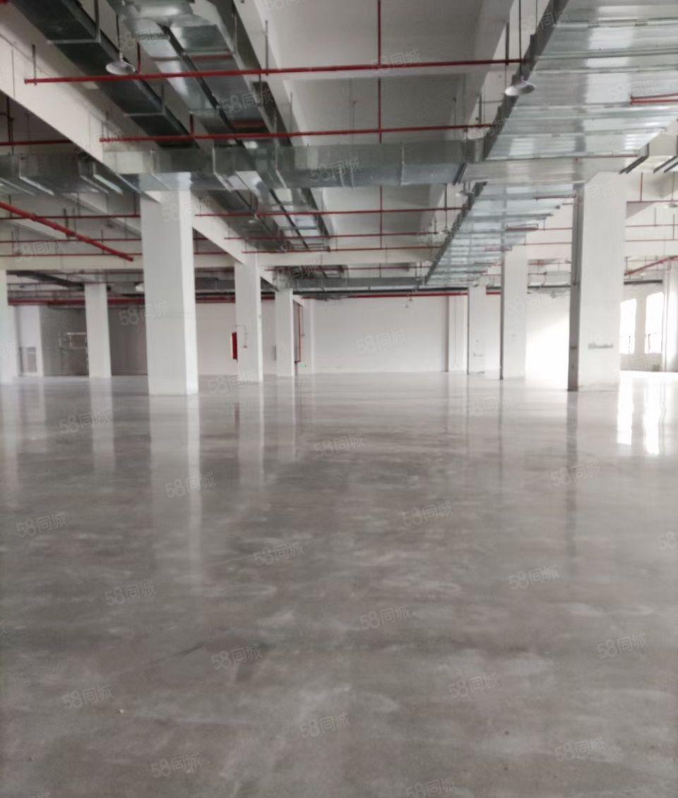 小金口原房东自有单层3300~6600平方全新红本厂房招租