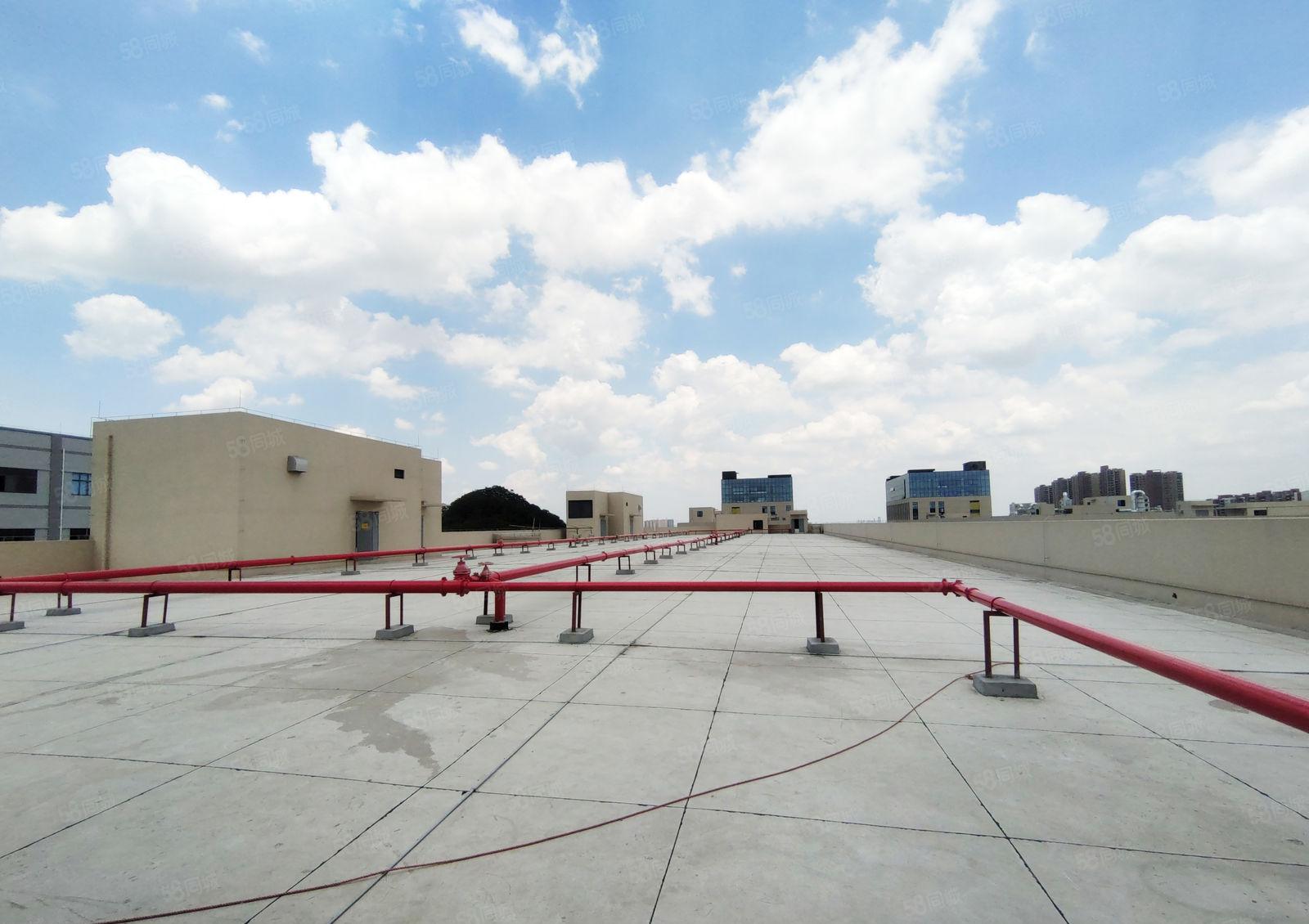 6元200平起租小金口四角楼原房东红本2万平厂房一楼仓库出租