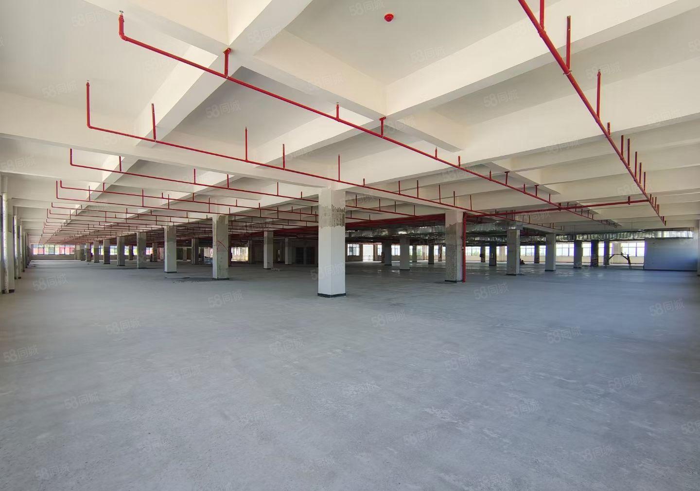 惠州全新红本独院厂房36400平 面积大小可分租 无行业限制